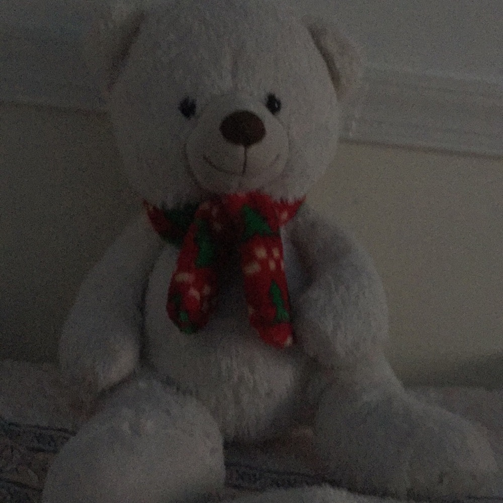 Bear for kids